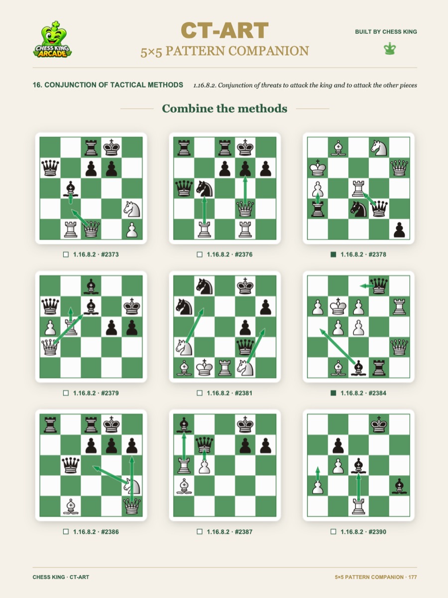 5×5 Pattern Companion sample 3